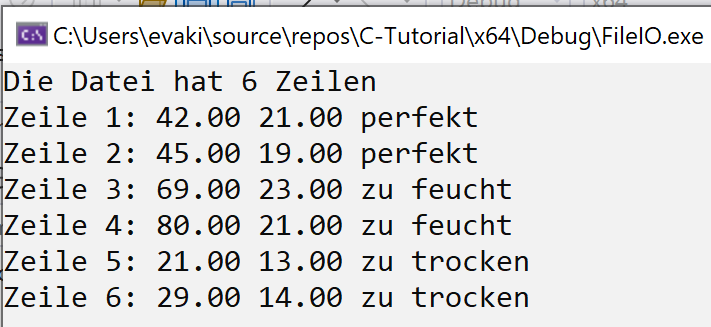 C Datei formatiert lesen